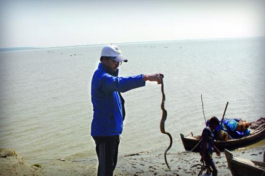 জীববৈচিত্র্য সংরক্ষণে সাপ নিয়ে গবেষণা